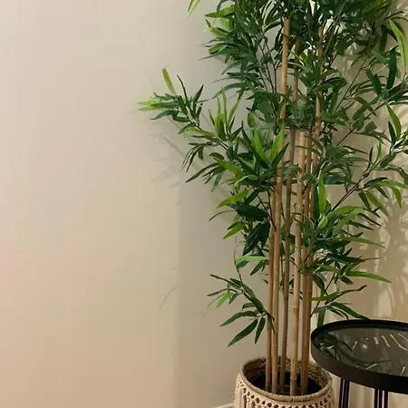 Les Mijoteurs Vakantiehuis *