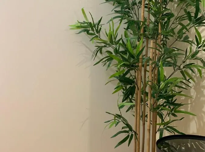 Les Mijoteurs Casa vacanze *